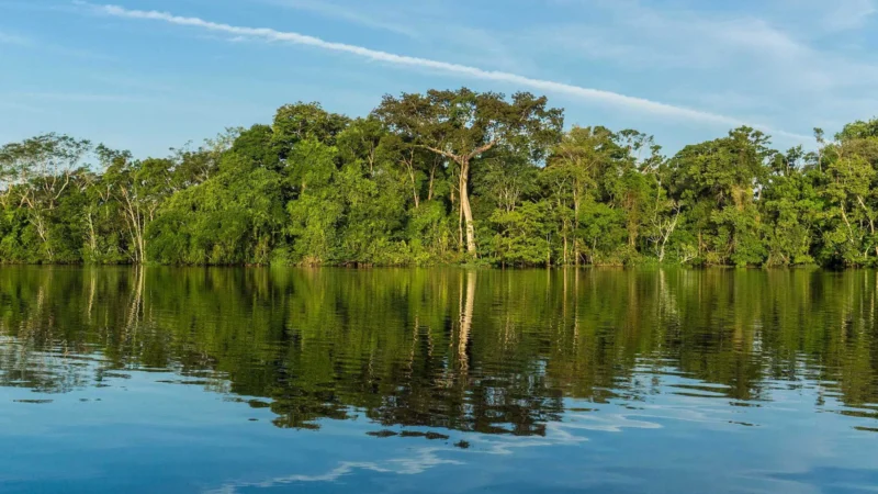 Qual o maior rio do mundo: Nilo ou Amazonas?