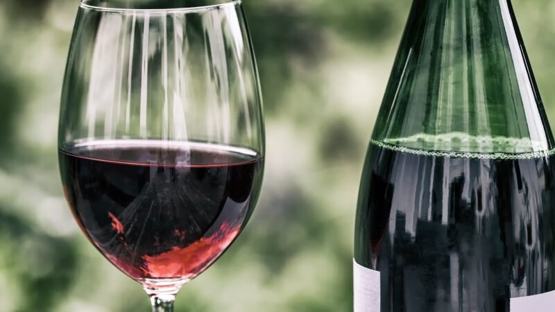 Conheça os benefícios do vinho para a saúde