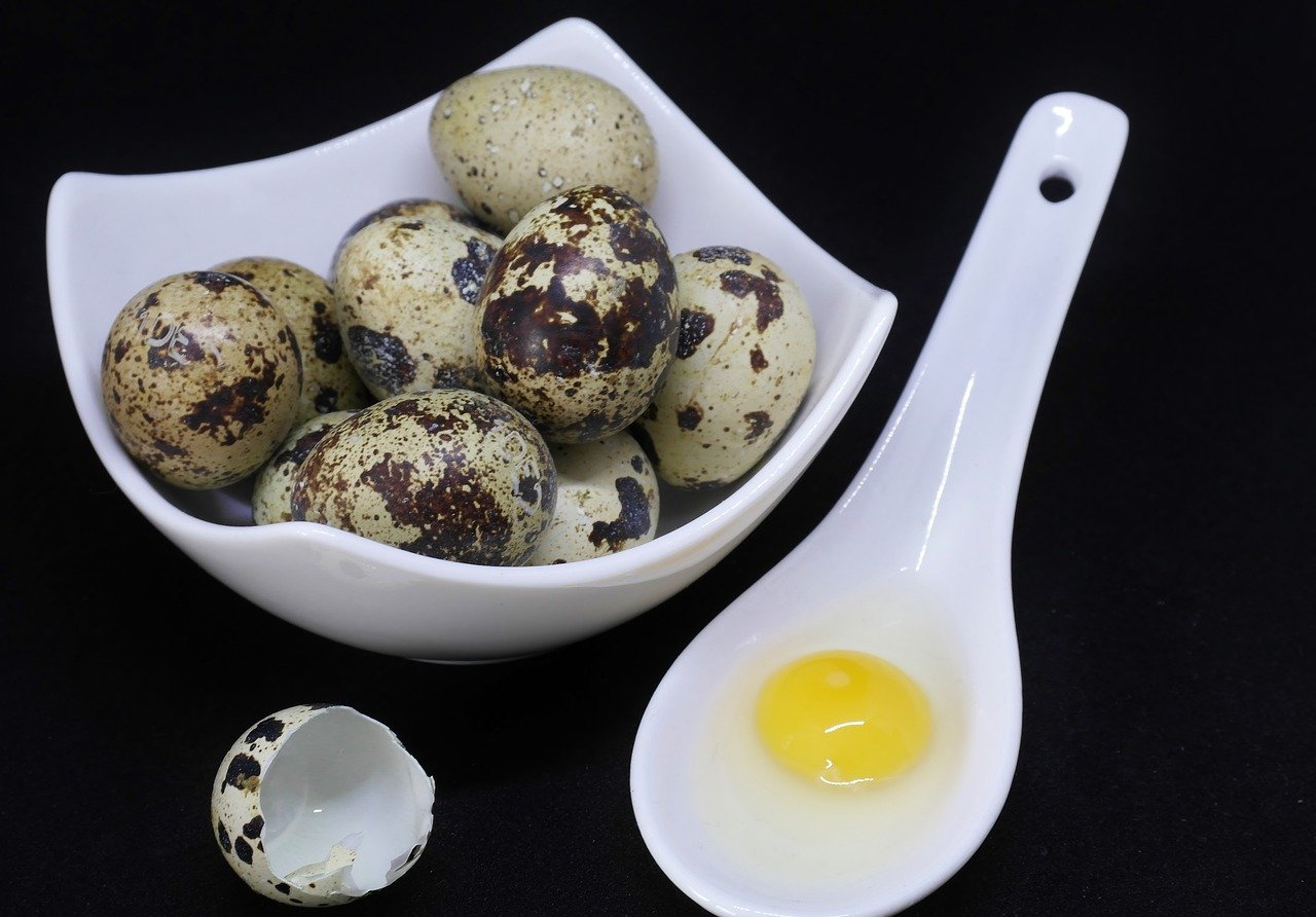 10 Benefícios do ovo de codorna: Potência em miniatura!