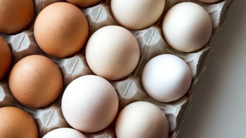 Quais os benefícios do ovo: O super alimento!