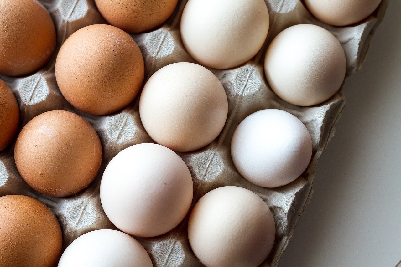 Quais os benefícios do ovo: O super alimento!