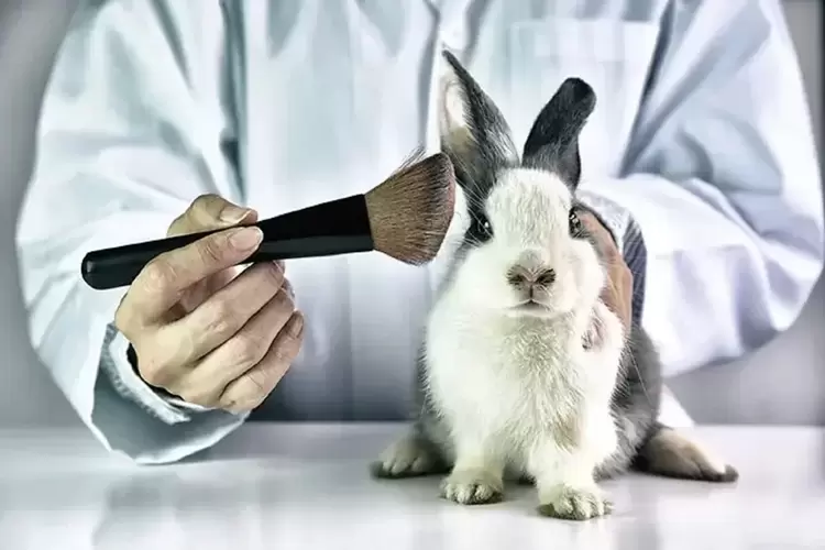 Veganos evitam usar qualquer produto que tenha sido testado em animais