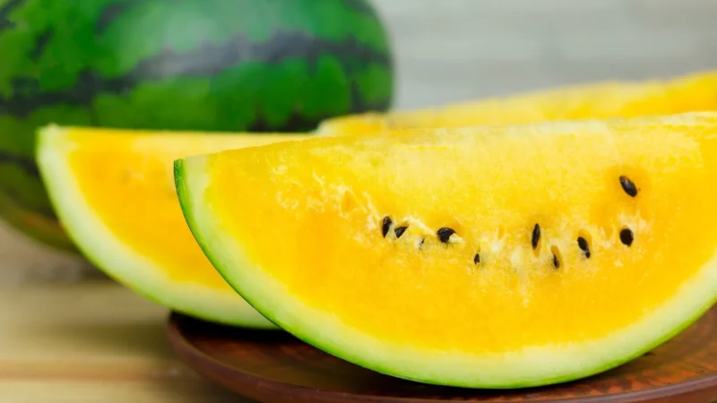 Existe melancia amarela: A fruta exótica que você precisa conhecer